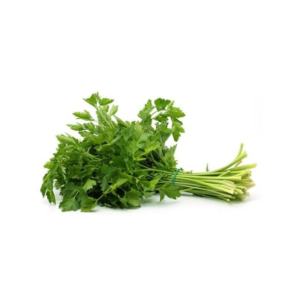 Persil Frais – Botte Aromatique – Vente à la Pièce – Image 1